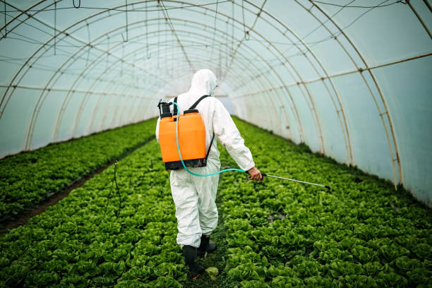 Best Pest Control for Businesses  in Fort Mckinley, OH