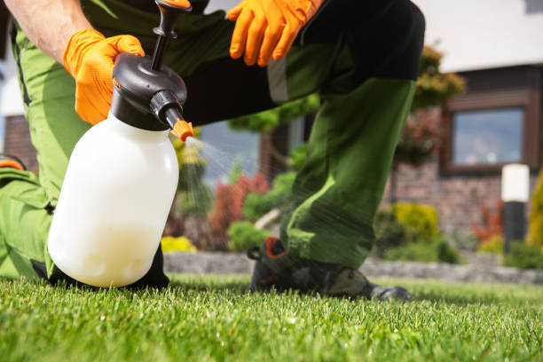 Best Wasp Removal Services  in Fort Mckinley, OH
