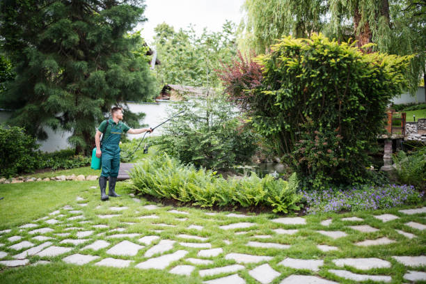 Best Ant Control Services  in Fort Mckinley, OH