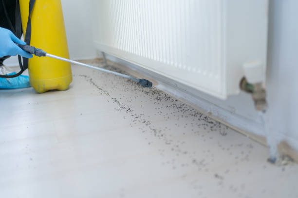 Best Insect Control  in Fort Mckinley, OH
