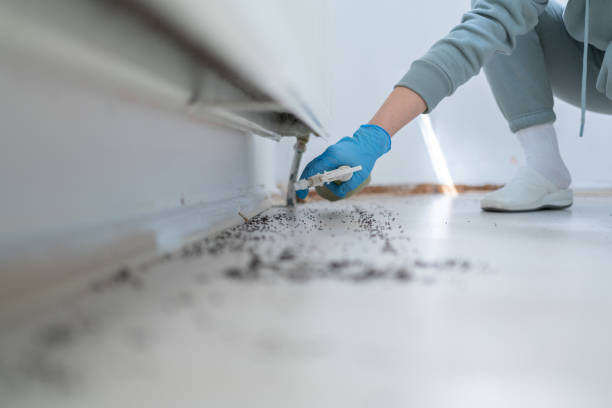 Best Pest Control for Homes  in Fort Mckinley, OH