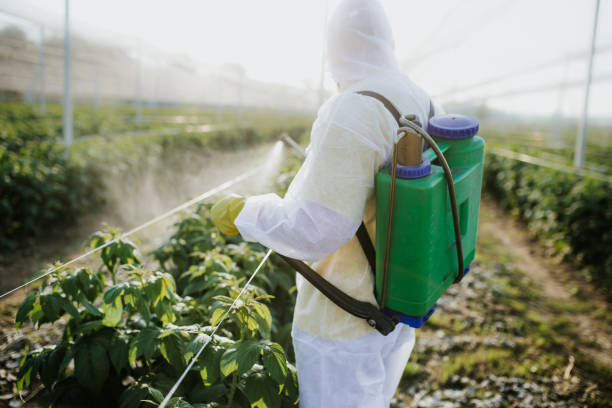 Best Mosquito Control Services  in Fort Mckinley, OH